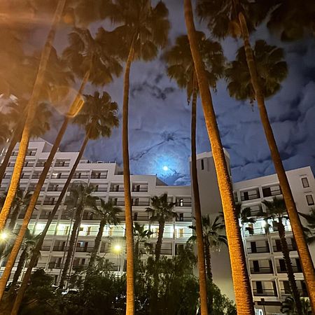Vina Del Mar Apartment Playa Feñabe Екстериор снимка