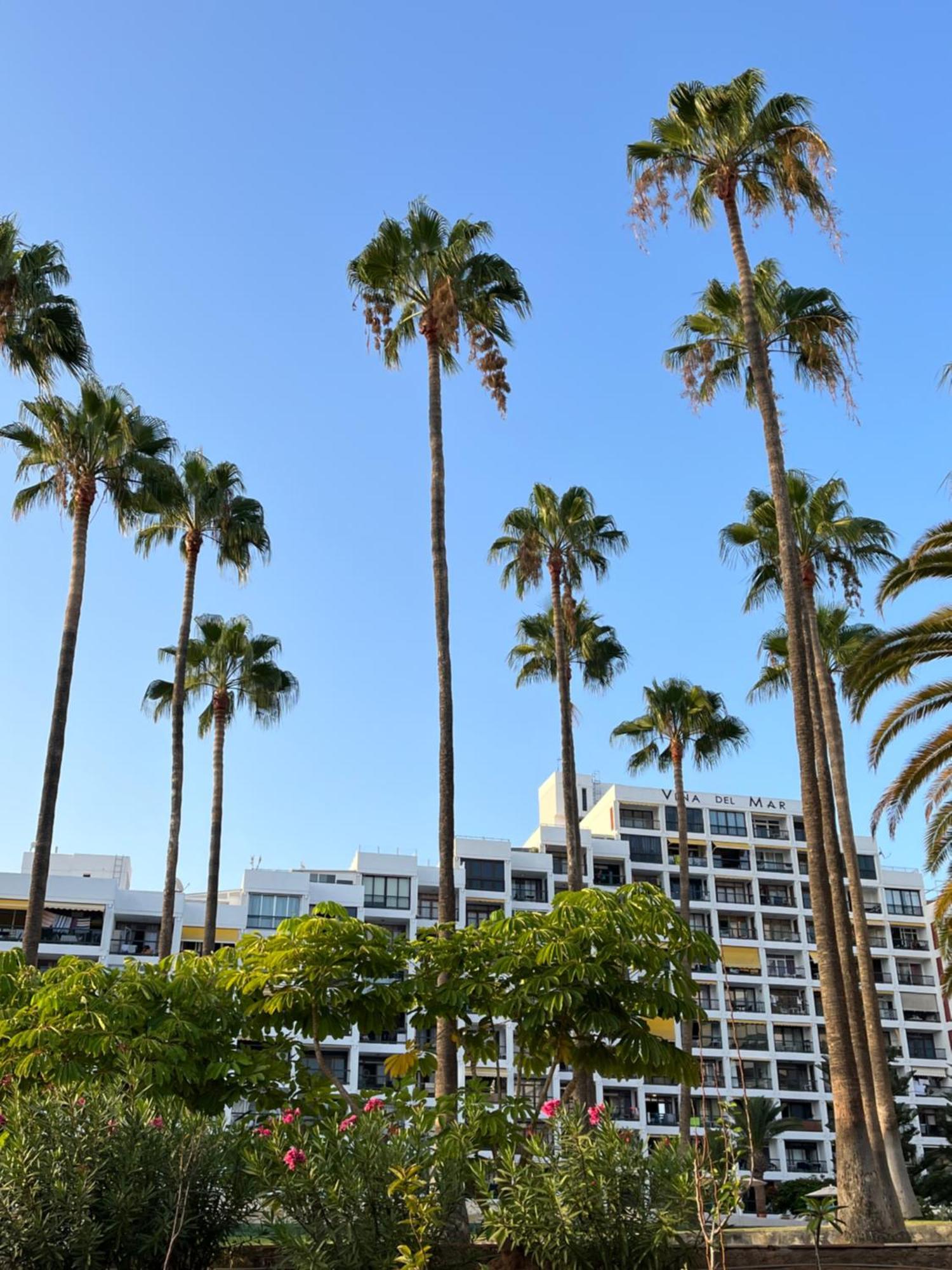 Vina Del Mar Apartment Playa Feñabe Екстериор снимка